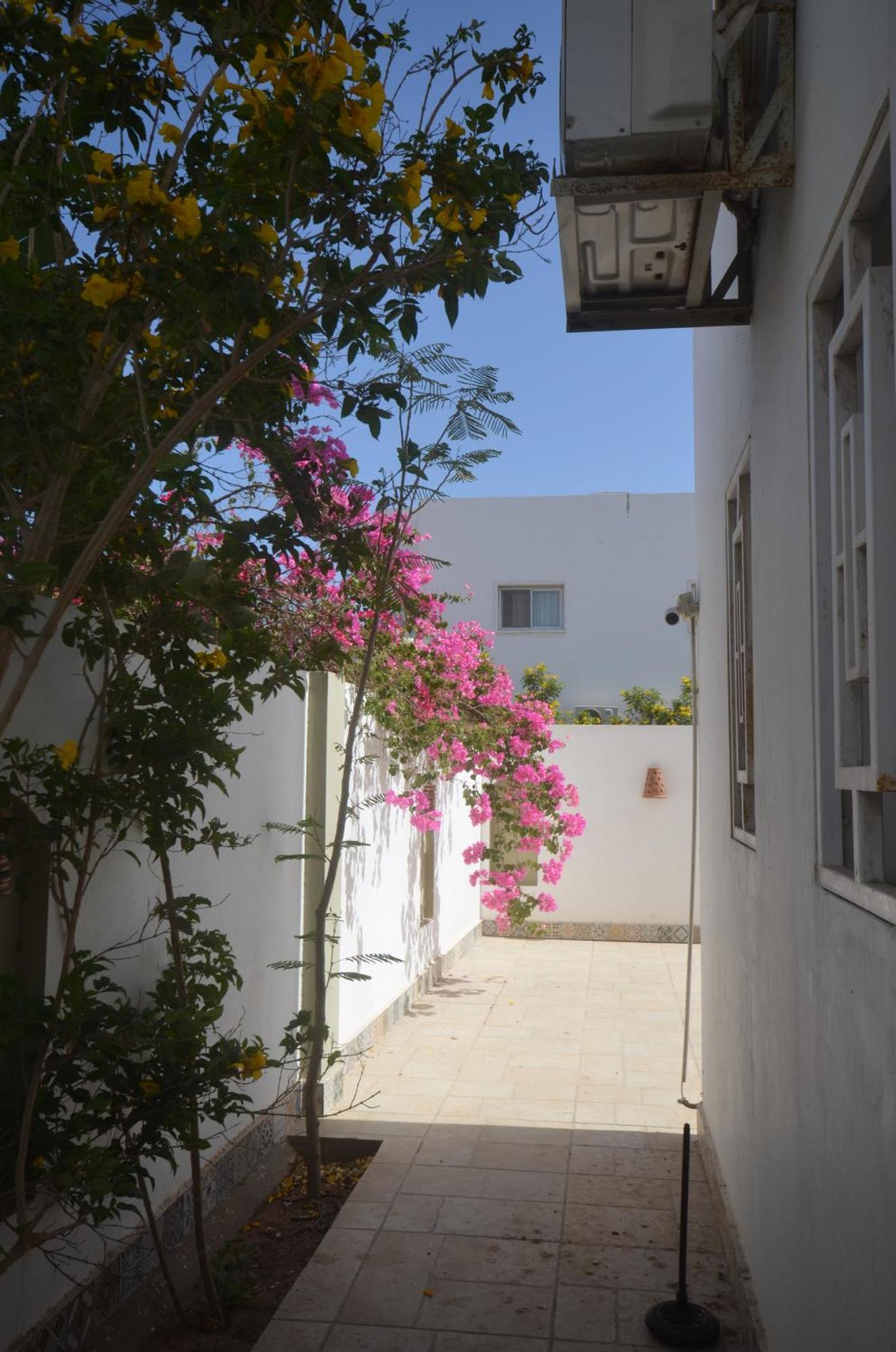 Elite Residence دهب المظهر الخارجي الصورة